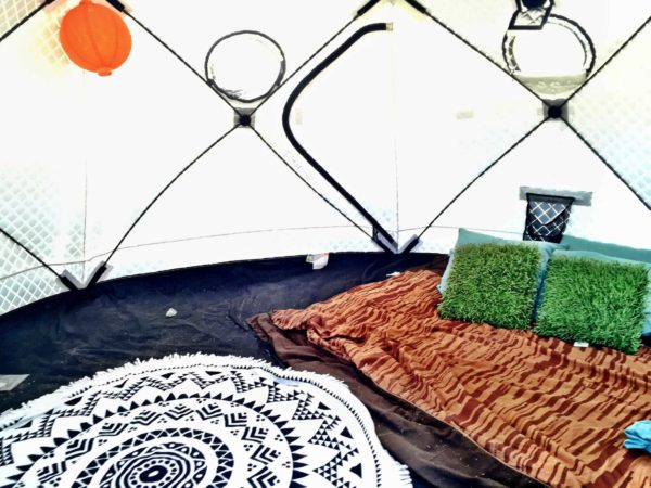 The PROS & CONS about SHIFTPODS [Product Review] - Festival Squad